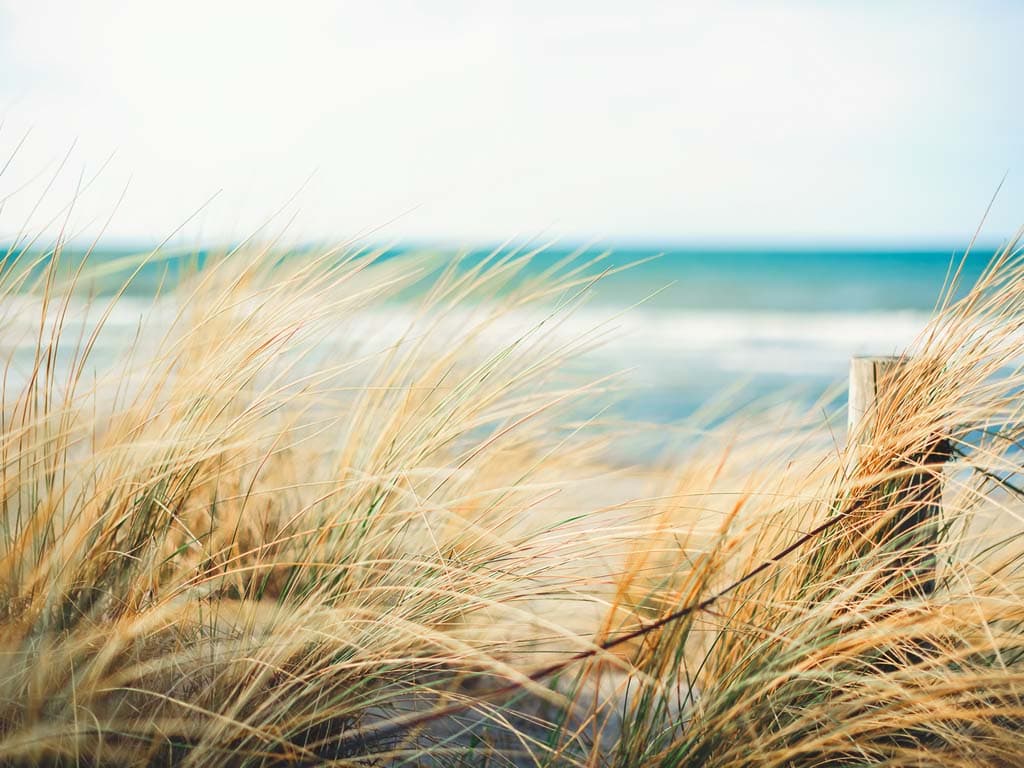 FERR istock 04 1024px